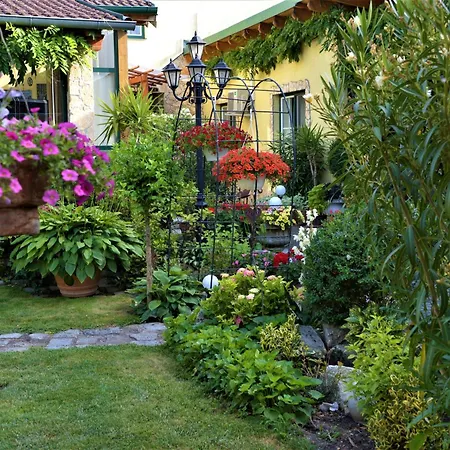 Ferienwohnung Koppi Pamhagen Exterior foto