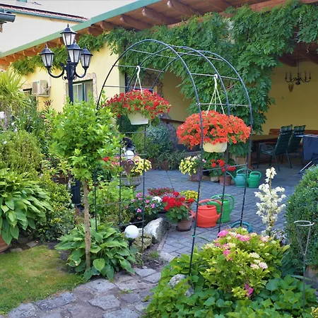 Ferienwohnung Koppi Pamhagen Exterior foto